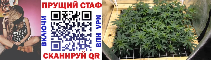 Виды наркоты Волосово ГАШ Бошки Шишки Кокаин АМФЕТАМИН Галлюциногенные грибы блэк спрут вход МЕФ