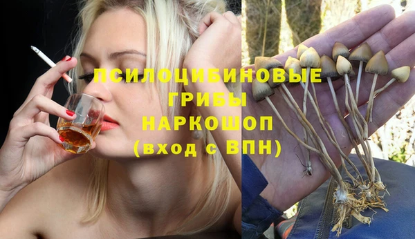 a pvp Богородск