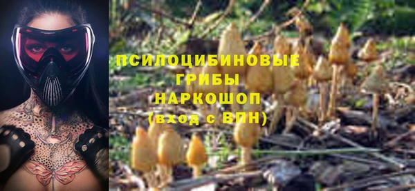 мескалин Богородицк